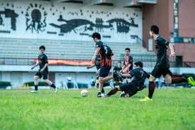 前法甲中场科内因重伤无缘世界杯